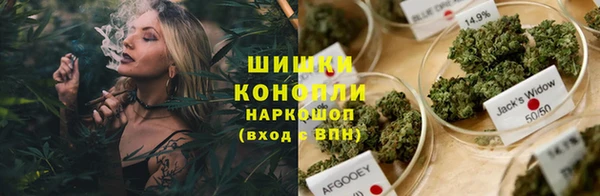 не бодяженный Гусиноозёрск