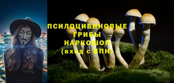 MESCALINE Гусев
