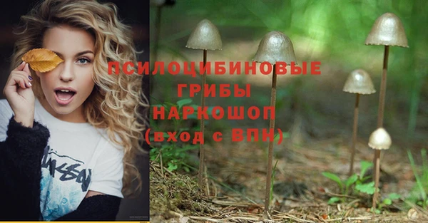 MESCALINE Гусев
