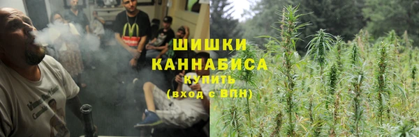 мдпв Дмитров