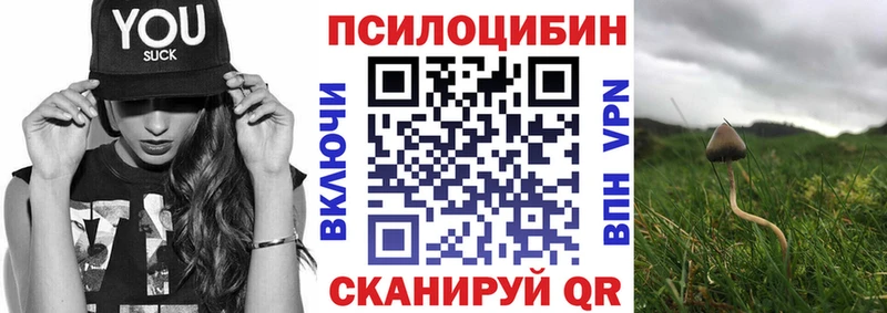 Галлюциногенные грибы мицелий  купить  цена  omg как зайти  Донецк 