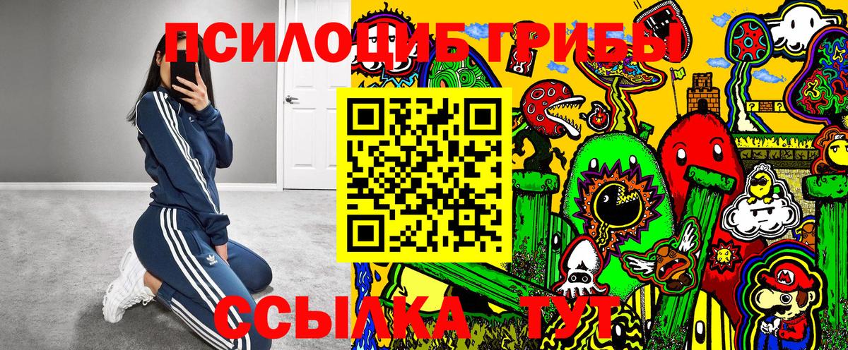 Псилоцибиновые грибы Psilocybe  Вход с VPN  Донецк  как найти закладки  Псилоцибиновые грибы Psilocybine cubensis 