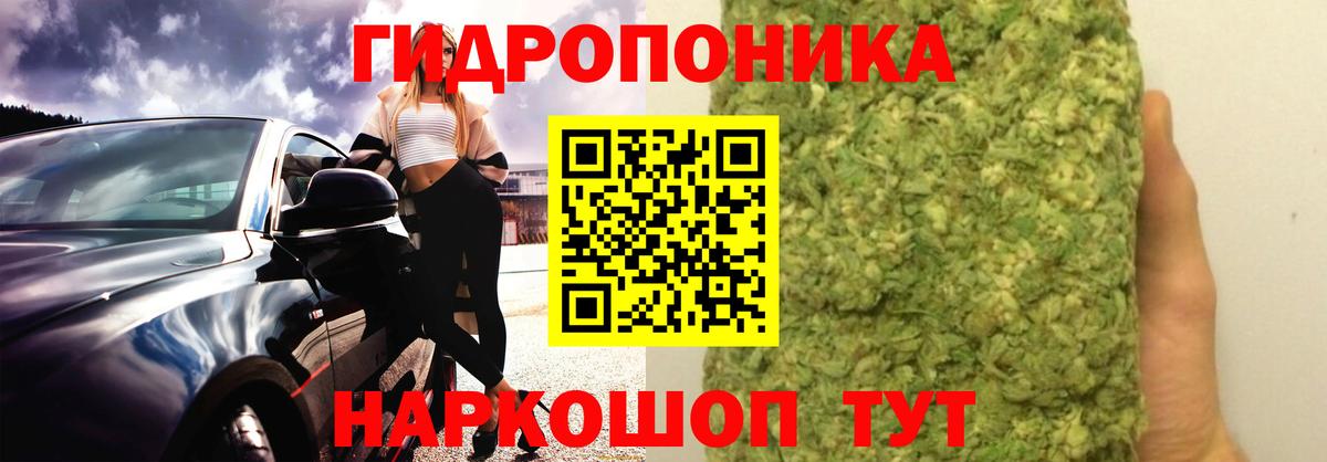 Бошки марихуана план  Конопля THC 21%  Вход с VPN  Каннабис White Widow  Донецк  Канабис тримм 